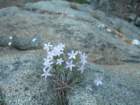 grandcanyon134_small.jpg
