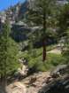 grandcanyon196_small.jpg