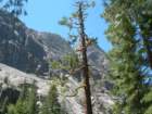 grandcanyon213_small.jpg