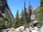 grandcanyon216_small.jpg