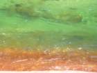 grandcanyon224_small.jpg
