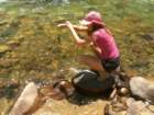 grandcanyon225_small.jpg