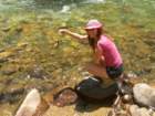 grandcanyon226_small.jpg