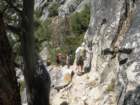 grandcanyon234_small.jpg