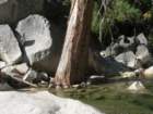 grandcanyon281_small.jpg