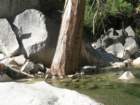 grandcanyon282_small.jpg