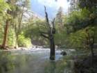 grandcanyon286_small.jpg