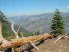 grandcanyon328_small.jpg