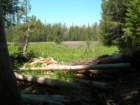 grandcanyon331_small.jpg