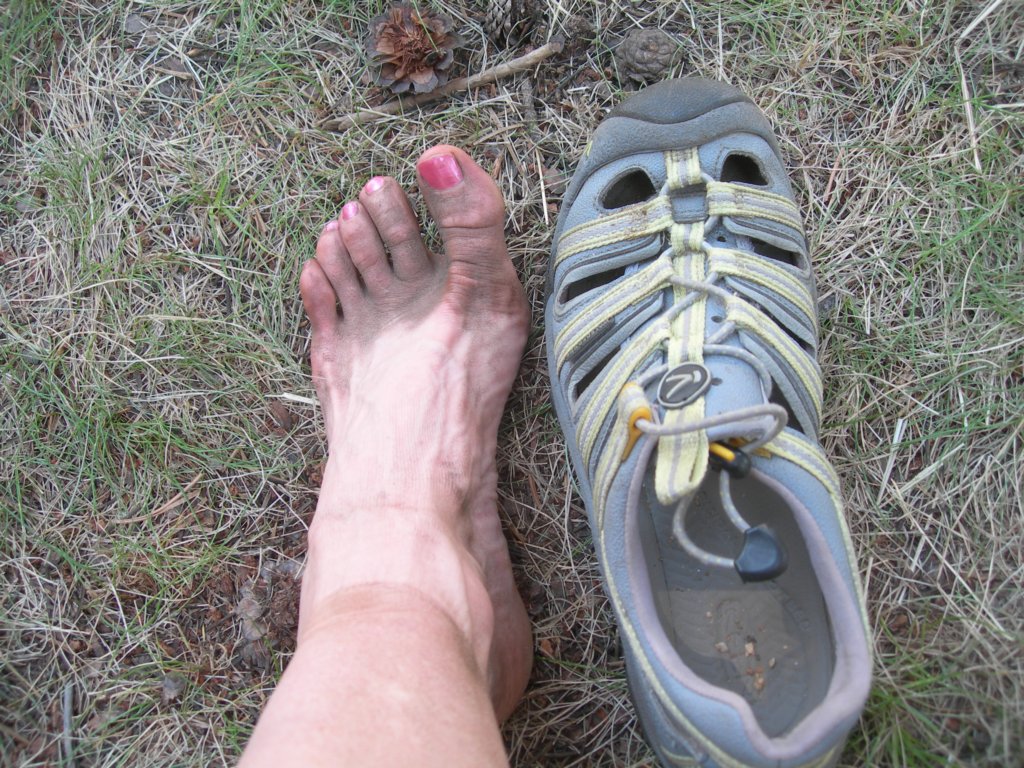 grandcanyon339.jpg