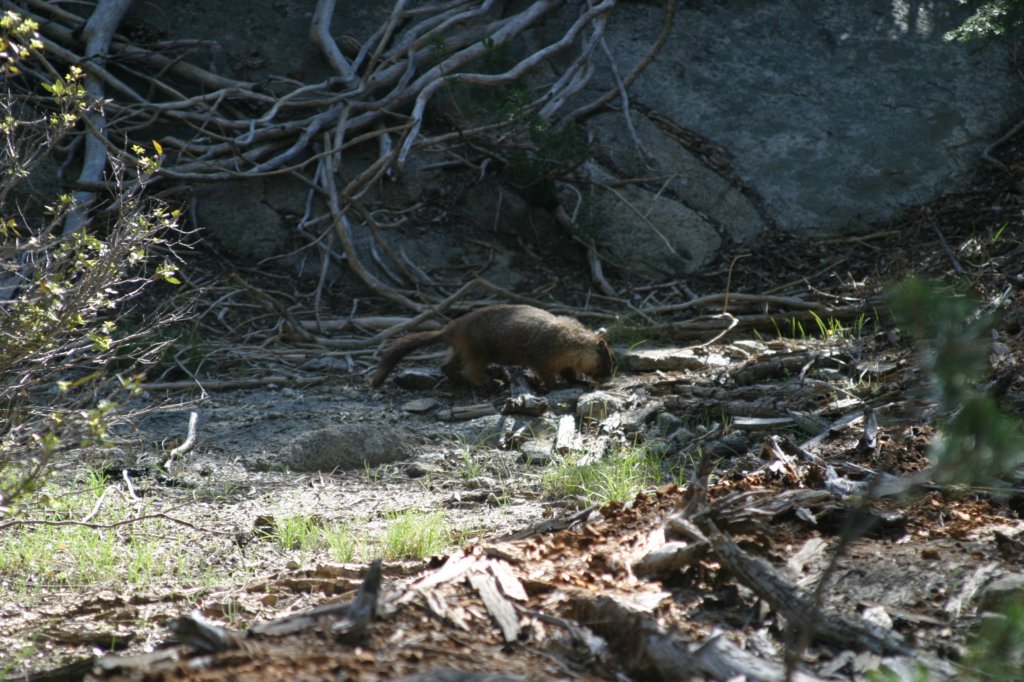 img_2577.jpg
