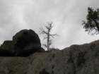 yosemitefalls055_small.jpg