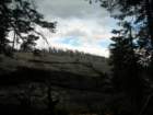 yosemitefalls062_small.jpg