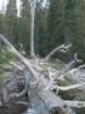 yosemitefalls065_small.jpg