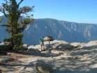 yosemitefalls081_small.jpg