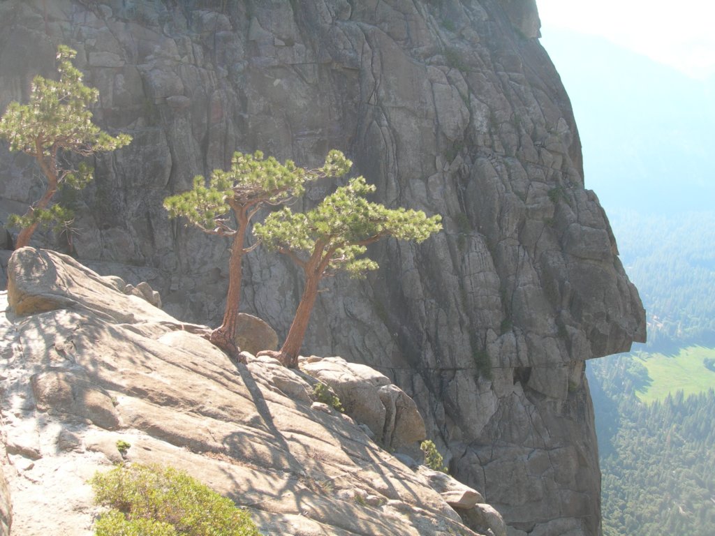 yosemitefalls085.jpg