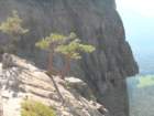 yosemitefalls085_small.jpg