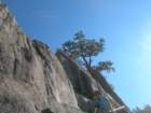 yosemitefalls094_small.jpg