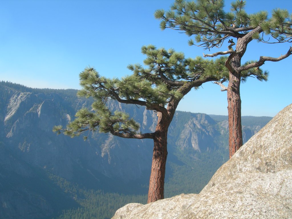 yosemitefalls104.jpg