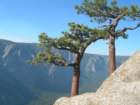 yosemitefalls104_small.jpg