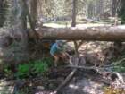 yosemitefalls116_small.jpg