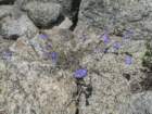 yosemitefalls159_small.jpg