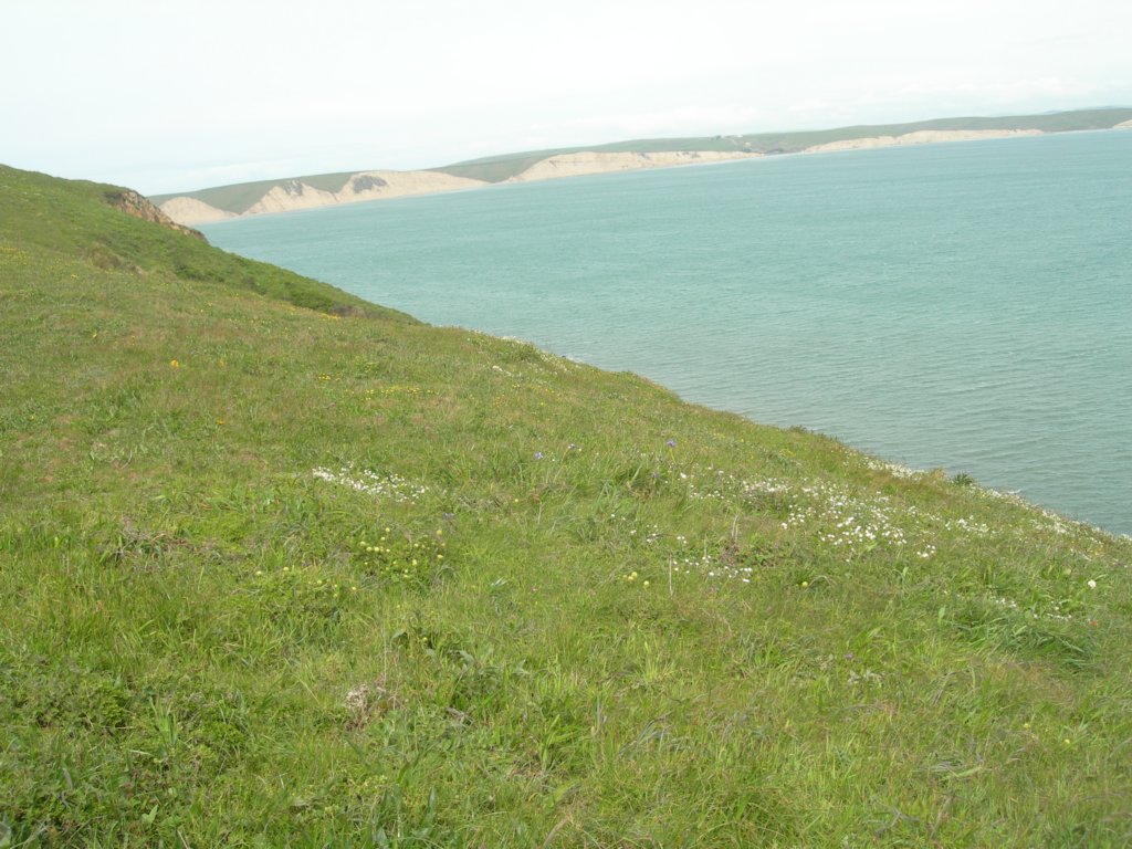 chimneyrock021.jpg