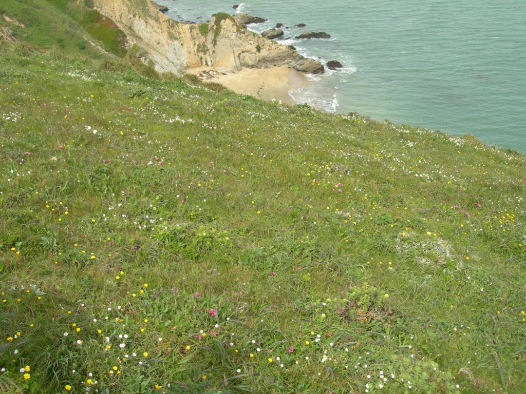 chimneyrock029.jpg
