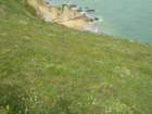 chimneyrock029_small.jpg