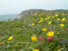 chimneyrock050_small.jpg