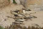 hike008_small.jpg
