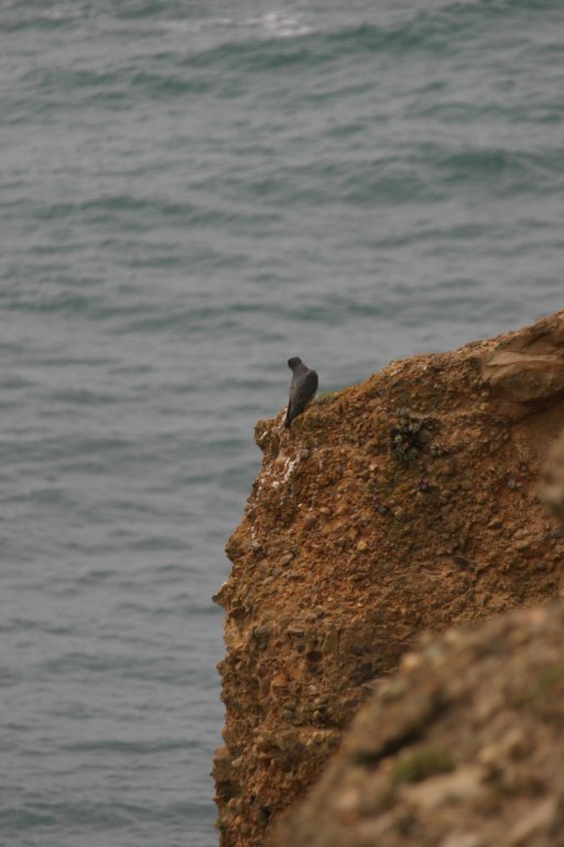 hike011.jpg