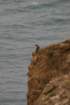 hike011_small.jpg