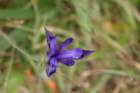 hike019_small.jpg