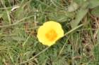hike028_small.jpg