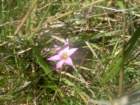 coastcamp010_small.jpg