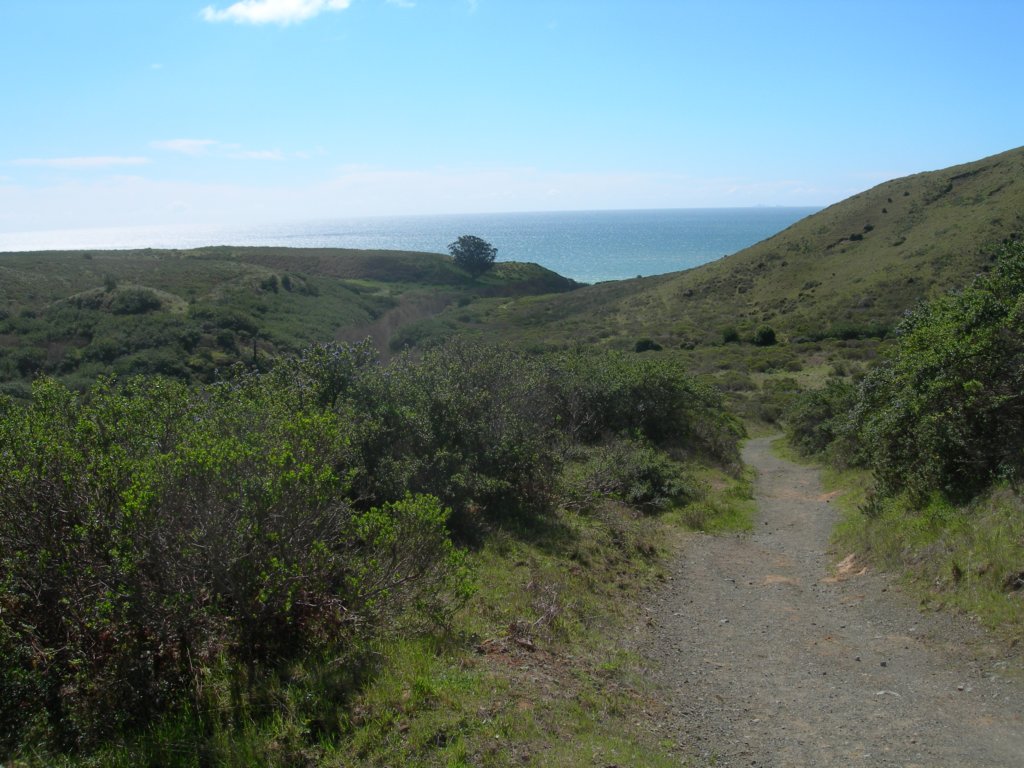 coastcamp013.jpg