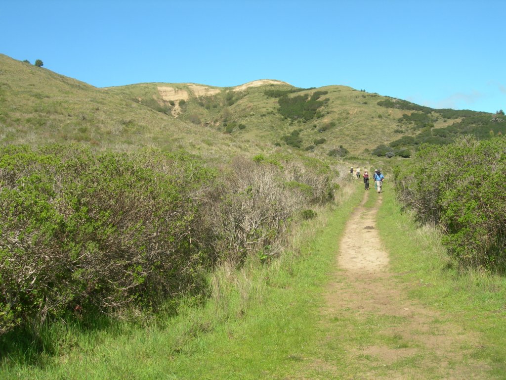 coastcamp014.jpg