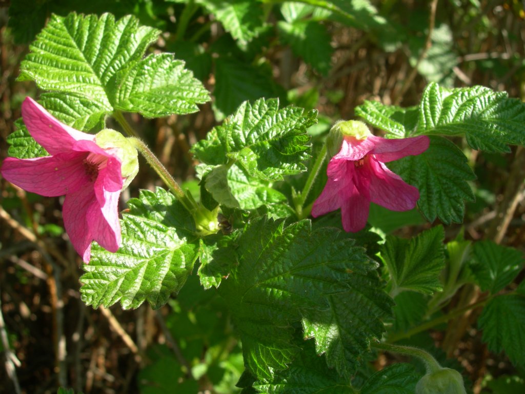 coastcamp019.jpg