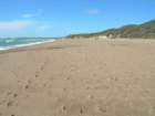 coastcamp024_small.jpg