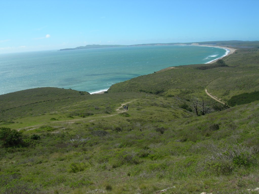 coastcamp047.jpg