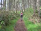 coastcamp064_small.jpg