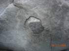 lostcoast2008_107_small.jpg