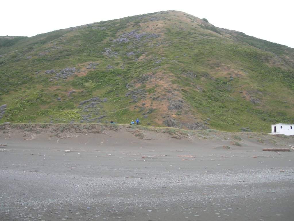 lostcoast2008_128.jpg