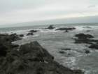 lostcoast2008_132_small.jpg