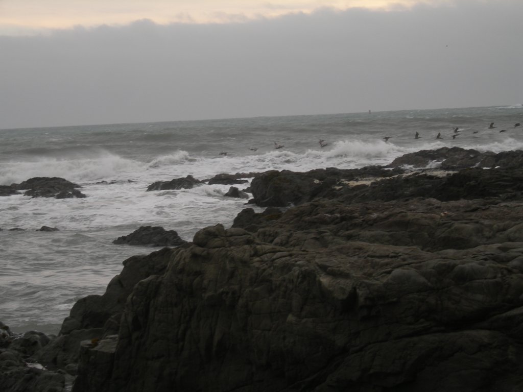 lostcoast2008_138.jpg