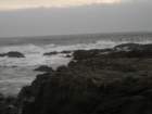lostcoast2008_138_small.jpg