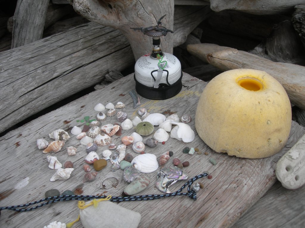 lostcoast2008_142.jpg