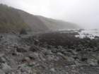 lostcoast2008_169_small.jpg