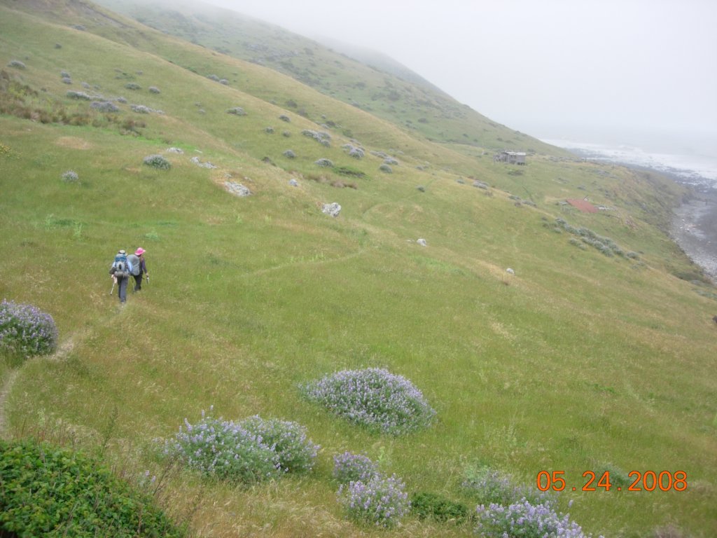 lostcoast2008_177.jpg